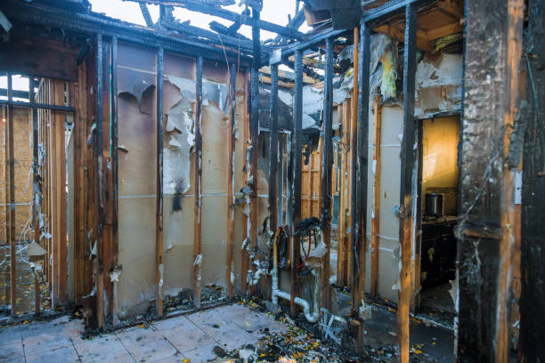 Professional Soot Cleanup technician working in Kenmore, WA